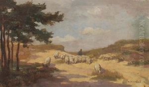 Schafhirte In Den Dunen