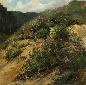 Landschaft Landschaft