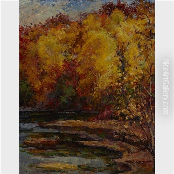 Maples In Autumn - view 1