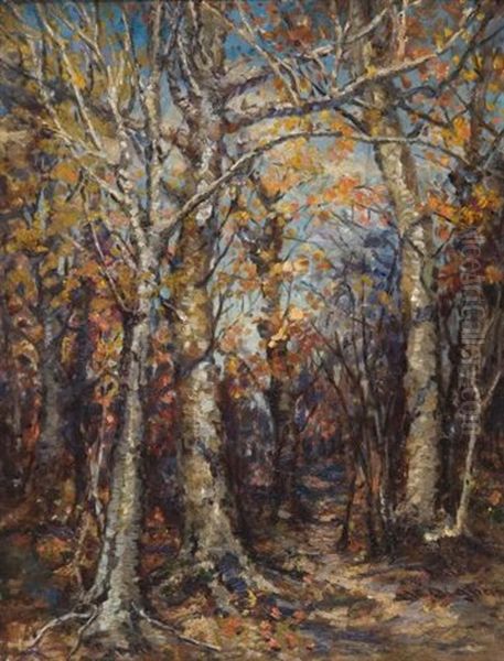 Forest Interior - view 1