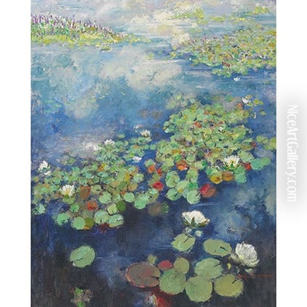 Waterlillies - view 1