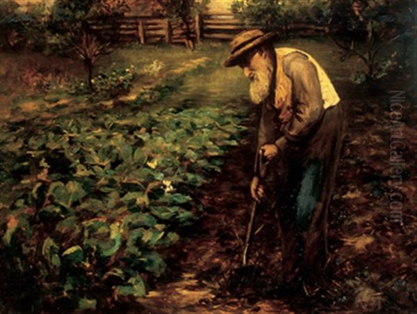 An Old Man's Garden - view 1