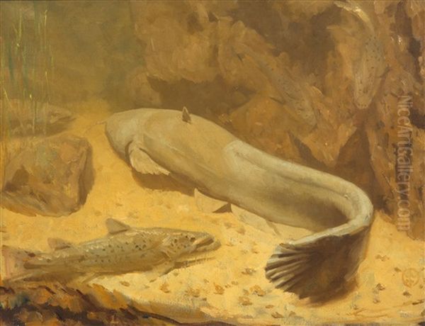 A Catfish And Pike - view 1