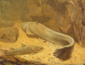 A Catfish And Pike by Gerrit Willem Dijsselhof