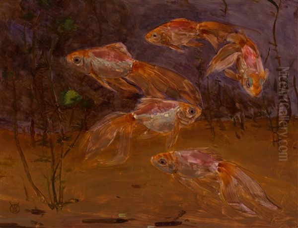 Goldfish In The Aquarium - view 1