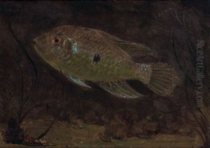 A Parrot Fish by Gerrit Willem Dijsselhof