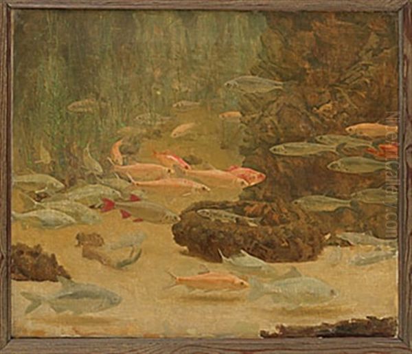 Guldfiskar - view 1