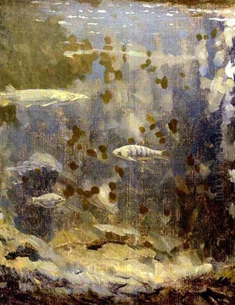 Baars En Snoek - view 1