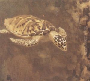 Tortue D'eau by Gerrit Willem Dijsselhof