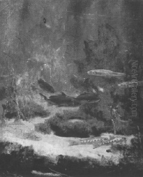 Fonds Marin: Poissons Rouges - view 1