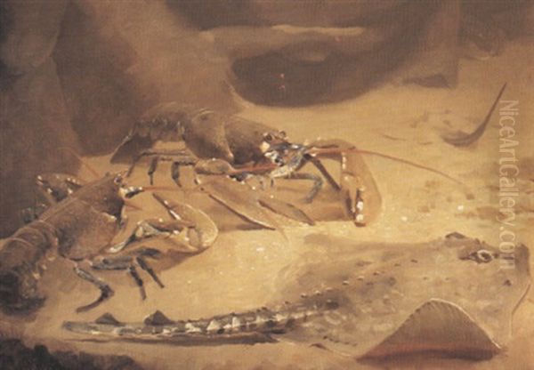 Fonds Marin: Hoards Et Raies - view 1