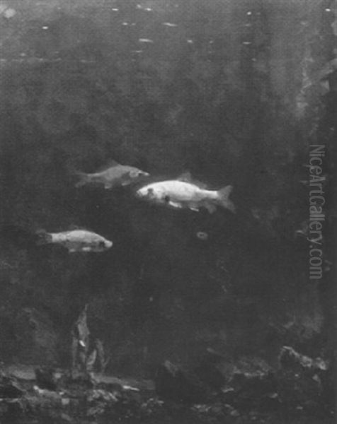 Fonds Marin: Trois Poissons Jaunes - view 1