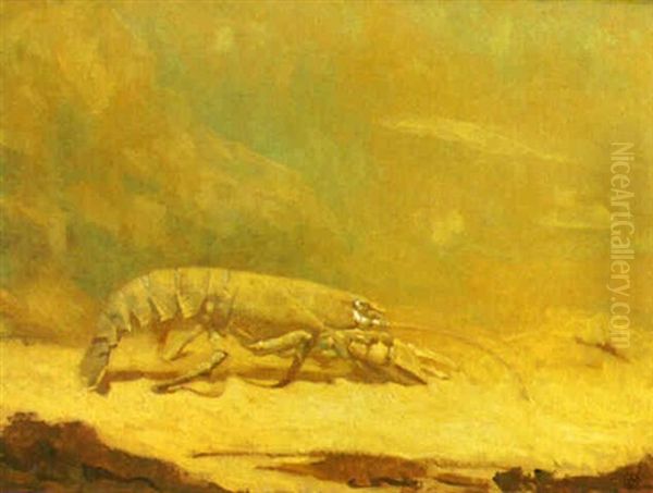 A Groping Lobster - view 1