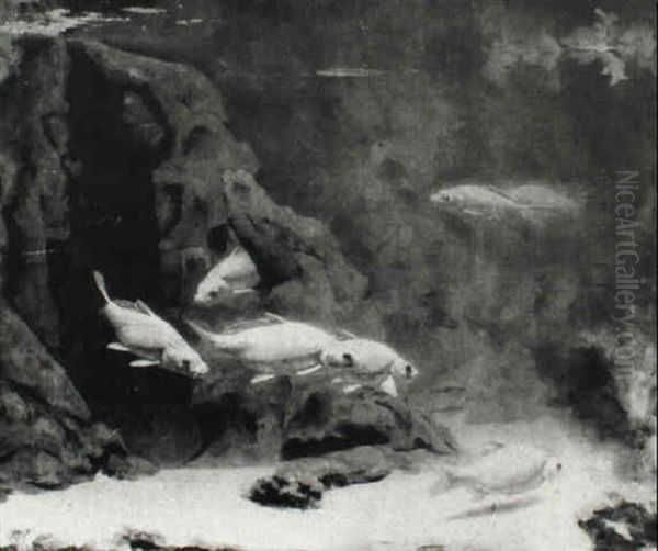 An Aquarium With Fish - view 1