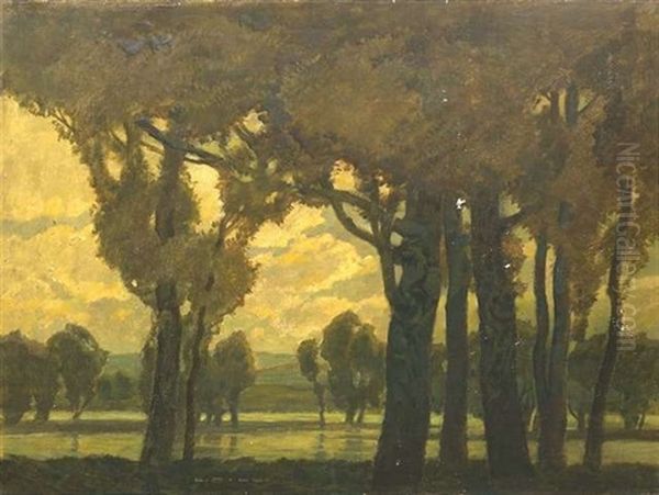 Baumgesaumtes Flussufer Im Abendlicht - view 1