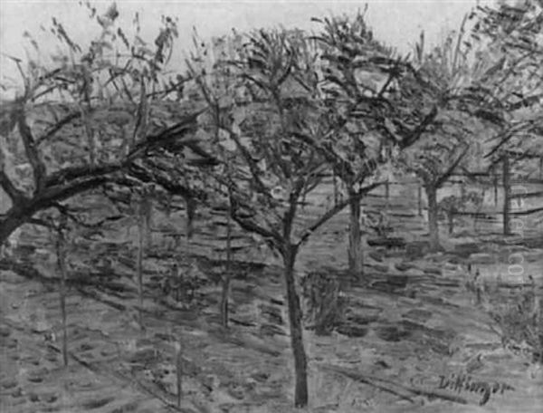 Obstbaume Im Garten - view 1