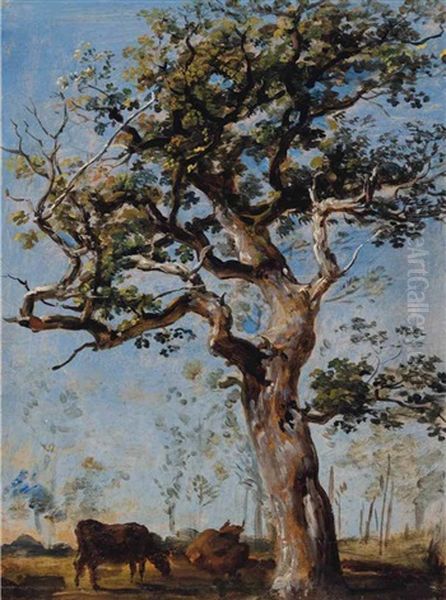 Oak Tree - view 1