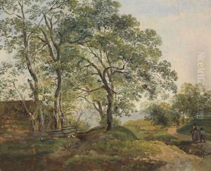 Hugelige Baumlandschaft Mit Hutte