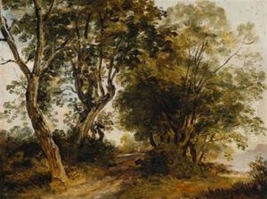 Waldweg Am Fluss Waldweg Am Fluss