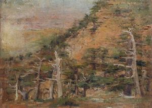 Les Cedres De Asila