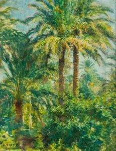 Palmeraie De Laghouat Palmeraie De Laghouat