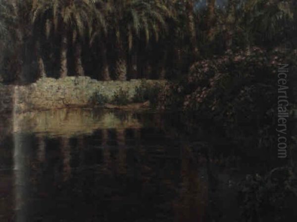 Une Source Dans L'oasis (clair De Lune) - view 1