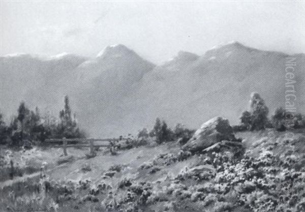 The Wildflower Pasture - view 1