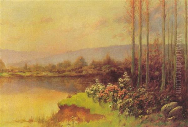 Summer Landscape - view 1