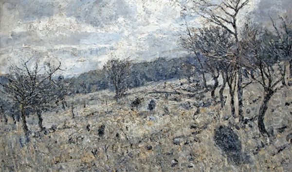 Impression Of A Meadow - view 1