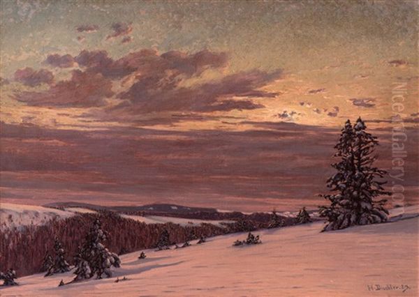 Winterabend Am Feldberg (winter Evening At Feldberg) - view 1