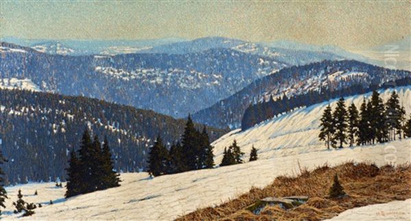 The End Of Winter - Vast Black Forest Landscape With Fir Trees - view 1