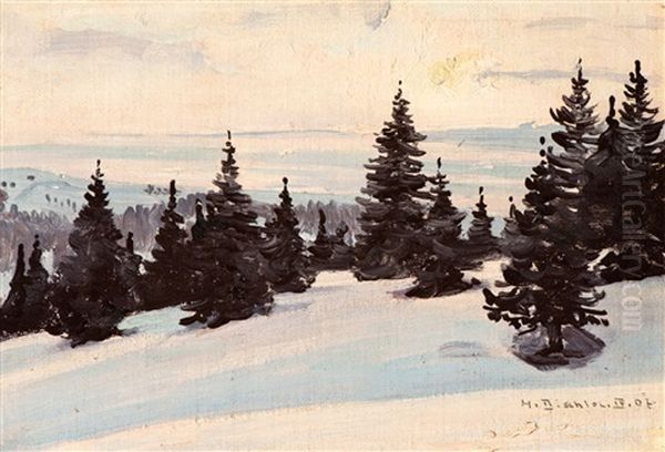 Evening Winter Landscape With Fir Trees - view 1