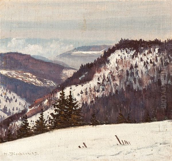 Small Black Forest Winter Landscape - view 1