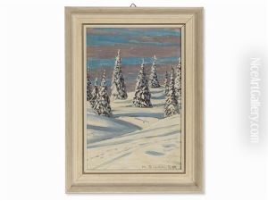 Winter Am Feldberg
