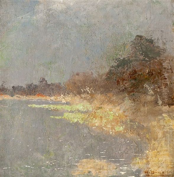 Altrhein - view 1