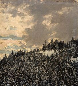 Am Rinken - Feldberg Am Rinken - Feldberg