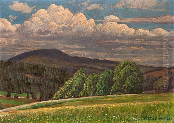 Bluhende Wiesen: Schwarzwald - view 1