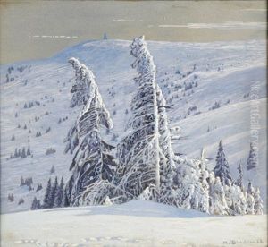 Seebuck - Feldberg Seebuck - Feldberg