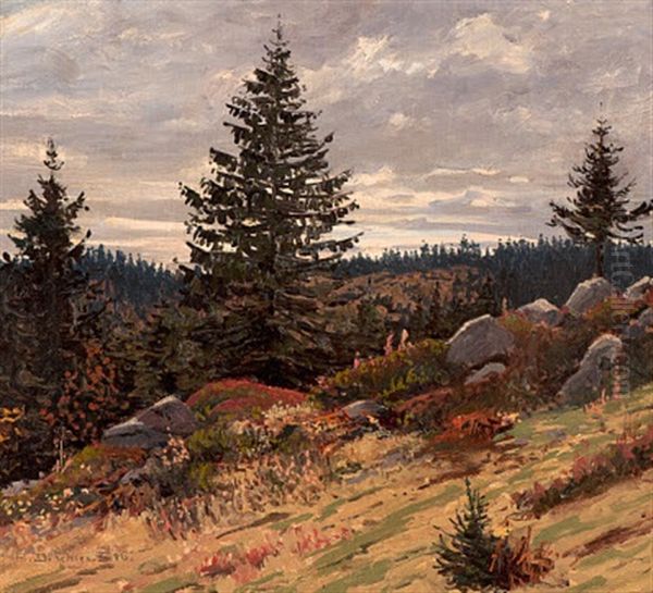 Herbst Am Feldberg - view 1