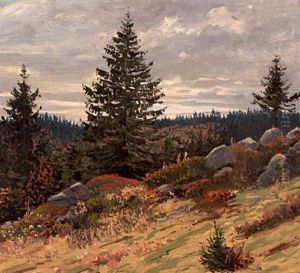 Herbst Am Feldberg Herbst Am Feldberg