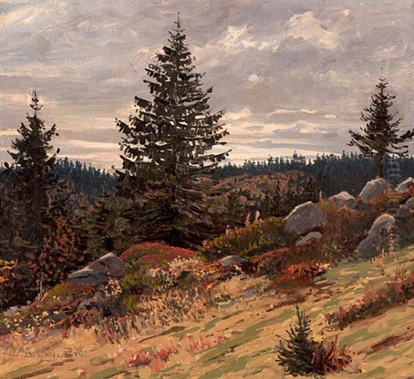Herbst Am Feldberg (schwarzwald) - view 1