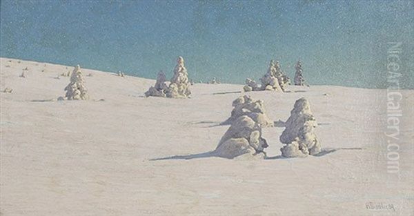Verschneite Tannen Am Feldberg - Schwarzwald - view 1