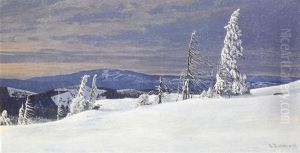 Winter Am Feldberg