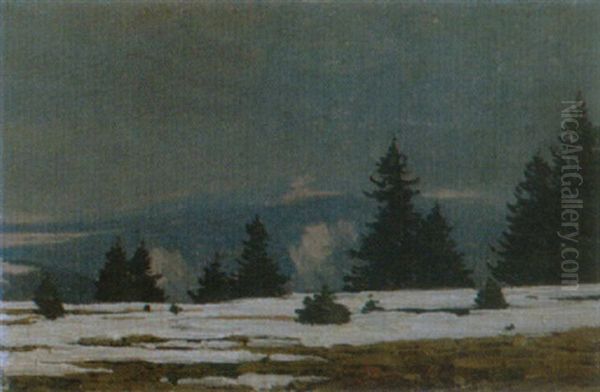 Winterliche Schwarzlandschaft Bei Furtwangen - view 1