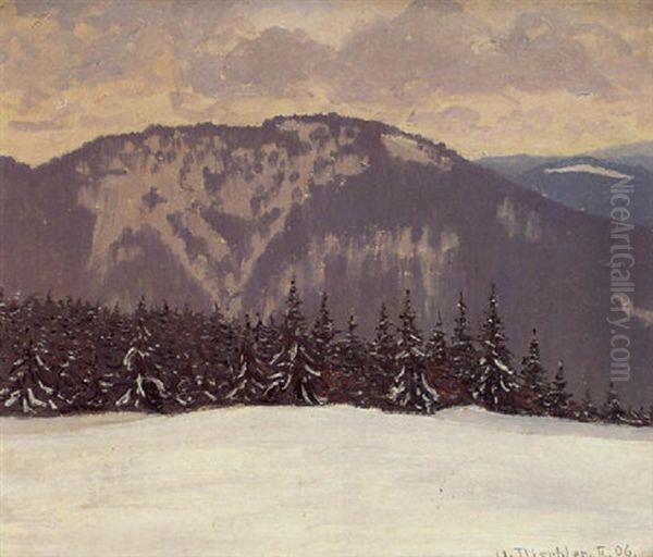 Schneelandschaft - view 1