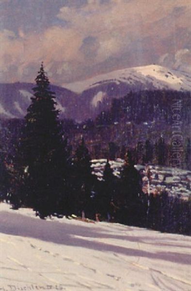Seebuck - Feldberg, Schwarzwald - view 1