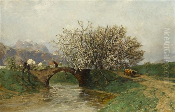 Apple Blossoms - view 1