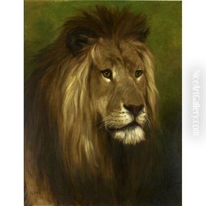 Lion Majesty
