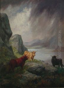 Highland Cattle by Harry Dixon
