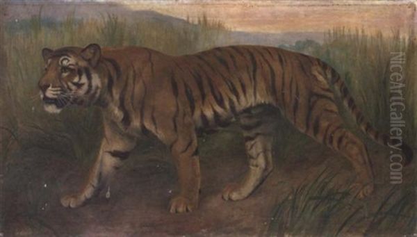 Tiger, Tiger Burning Bright - view 1